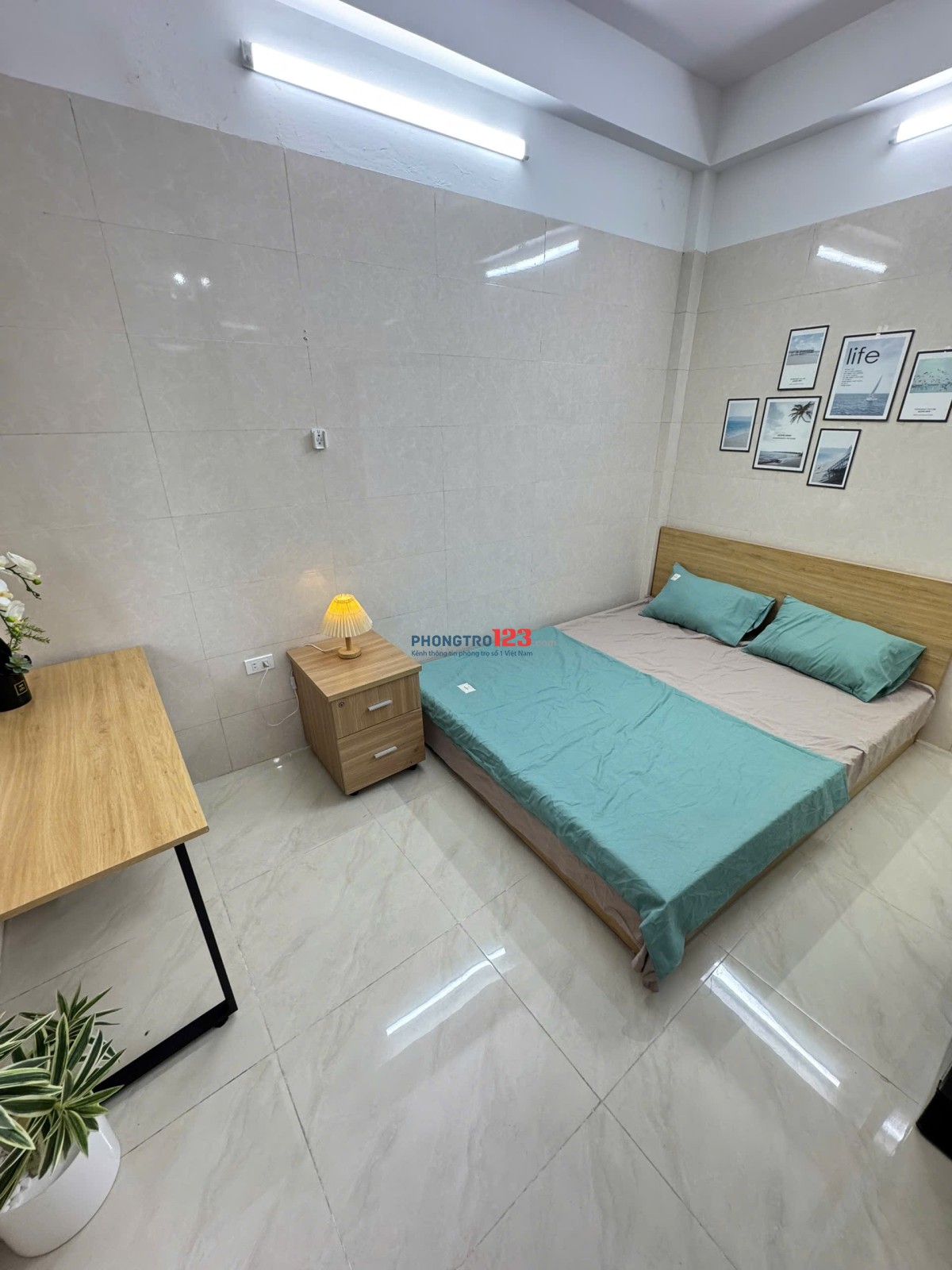 KHAI TRƯƠNG CCMN TOÀ MỚI VÀO Ở NGAY