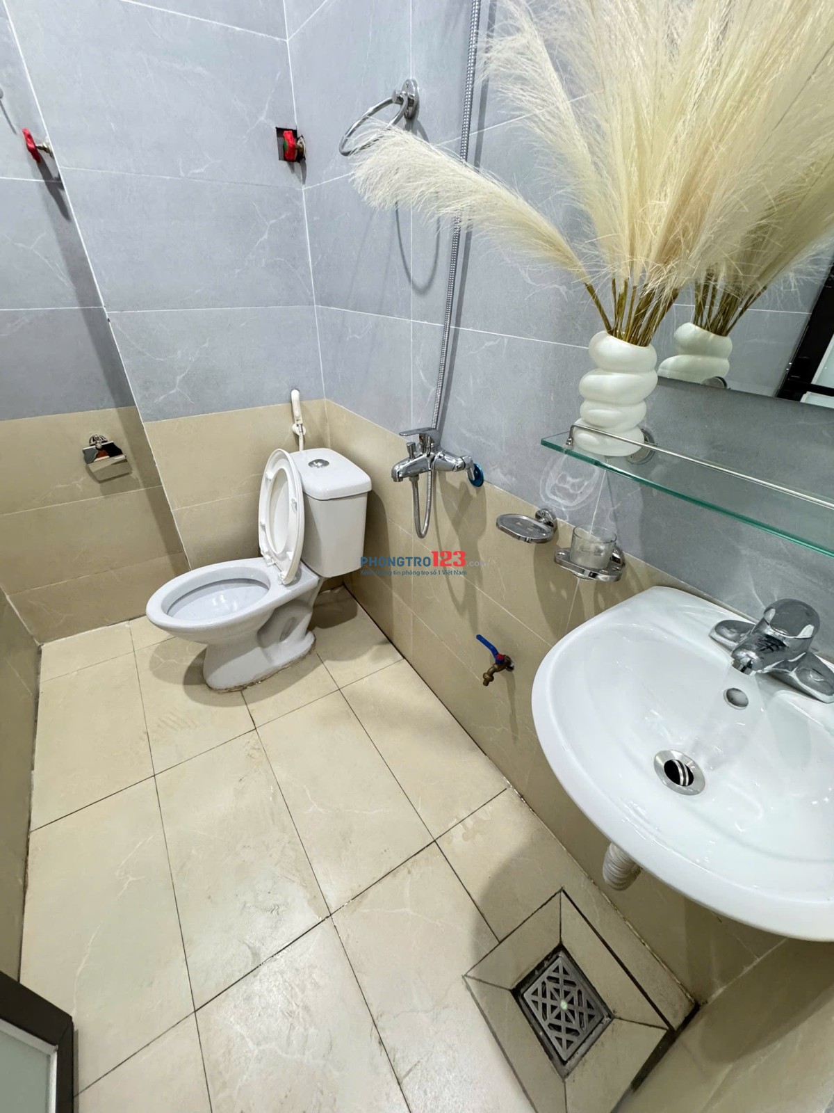 KHAI TRƯƠNG CCMN TOÀ MỚI VÀO Ở NGAY