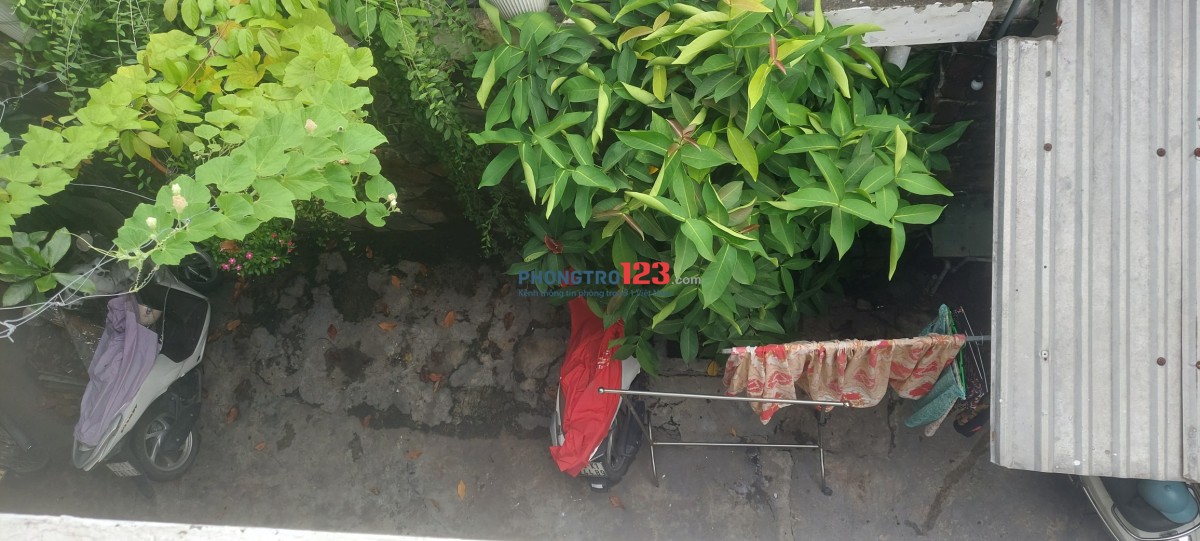 Cho thuê phòng trọ quận 3! Gò Vấp Đại học Văn Lang, căn hộ Vin Ba Son, aqua 2!