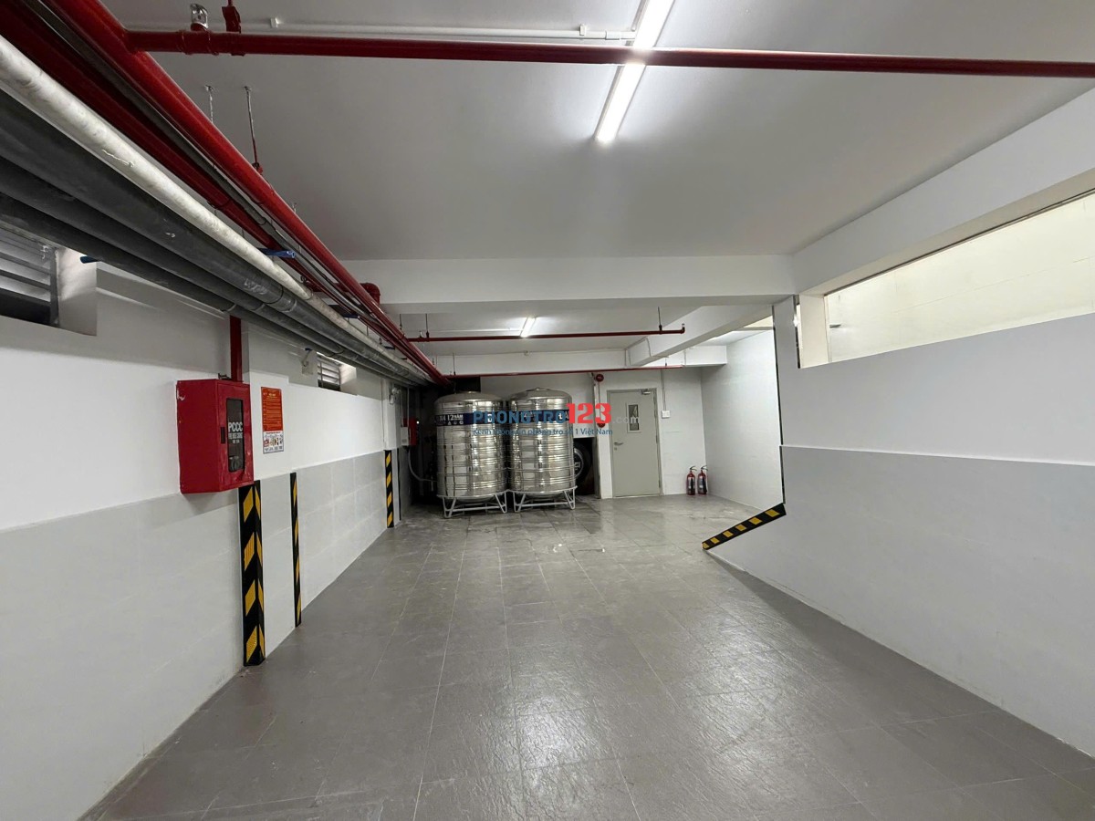 CHO THUÊ TÒA NHÀ MẶT TIỀN – HẦM + 6 TẦNG + SÂN THƯỢNG – VỊ TRÍ SIÊU ĐẸP - GÒ VẤP