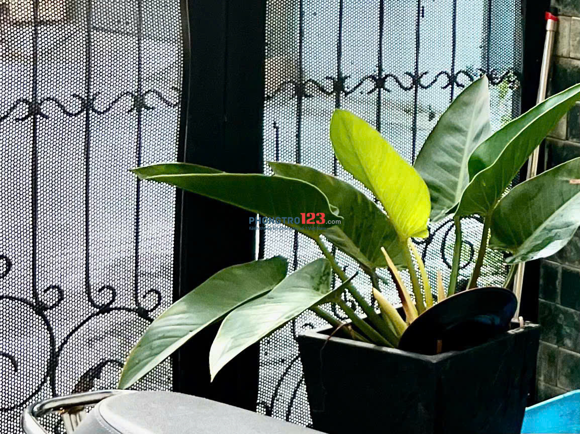 cho thuê căn hộ dịch dịch vụ giờ giấc tự do ngay 990 Nguyễn Duy Trinh. Diện tích 27 m² - 2.7 triệu