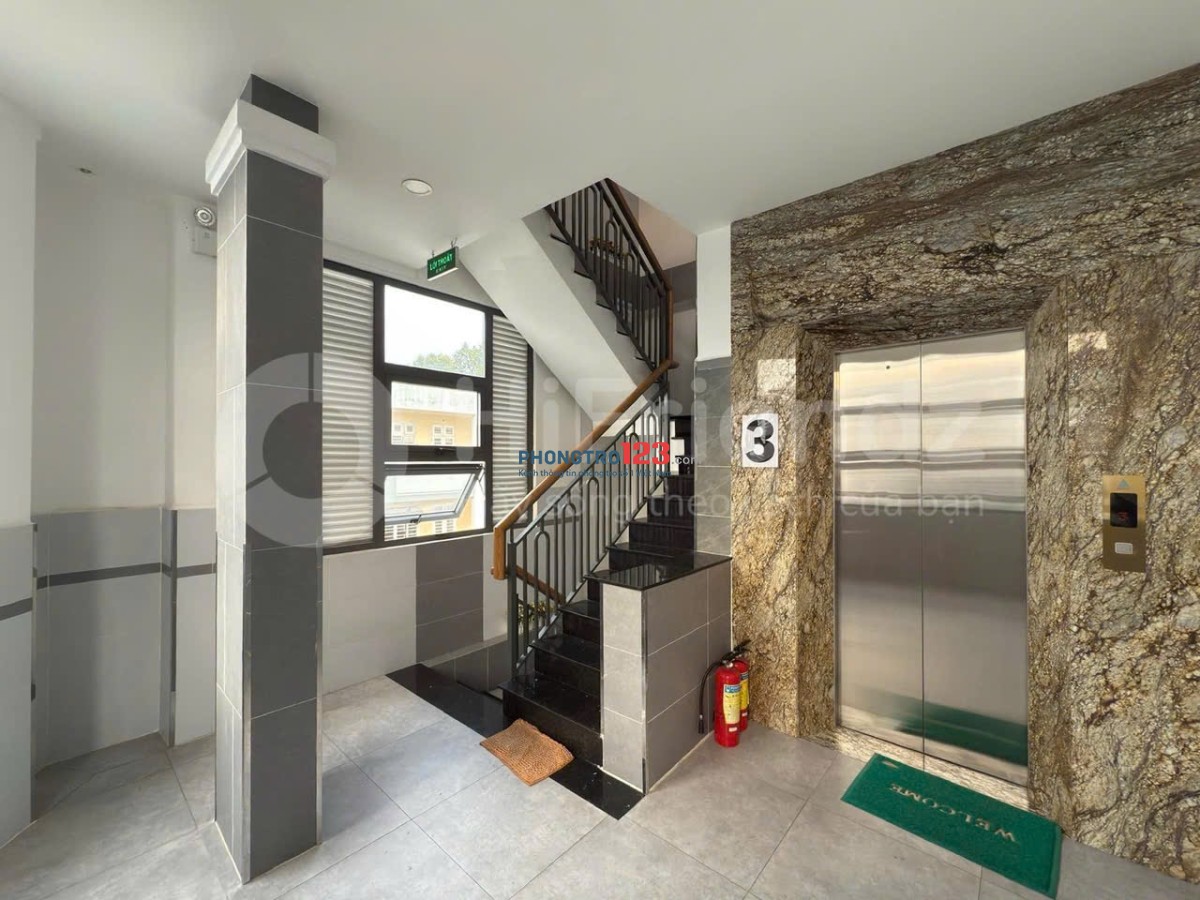 Cho thuê căn Duplex tại Trần Quang Quá, Tân Phú