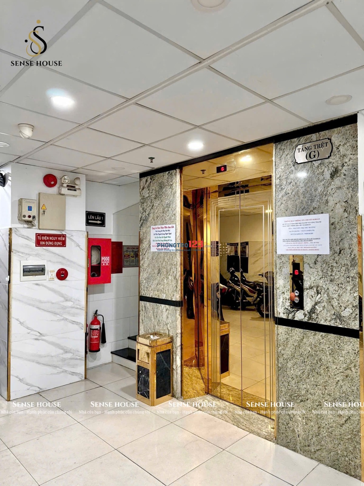 CHO THUÊ DUPLEX MỚI – CỬA SỔ THOÁNG TẠI NGUYỄN THÁI HỌC, TÂN PHÚ