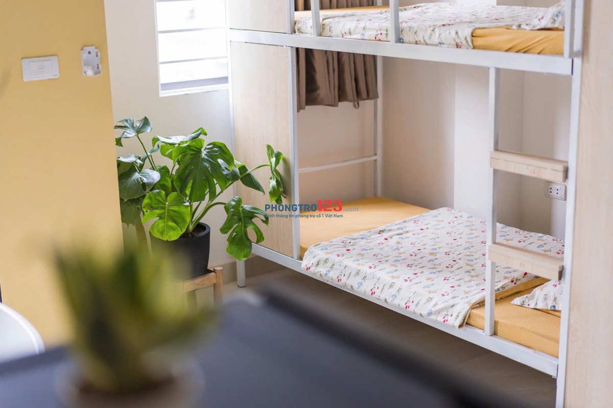Bí Kíp Sống Chill Với Homestay Ghép 67 Phùng Khoang Giá 990k – Tiết Kiệm Max Level!