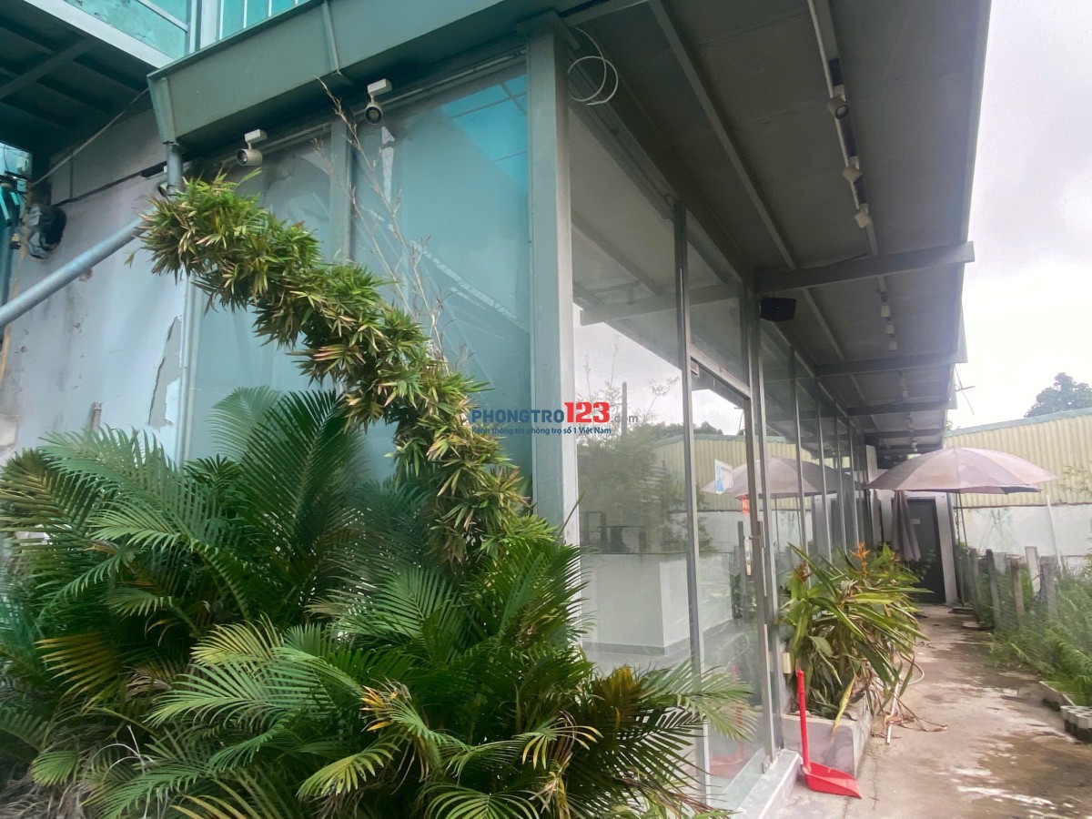 CHO THUÊ VĂN PHÒNG CÔNG TY ( CAFE , BÁN CƠM VĂN PHÒNG ) + NHÀ Ở