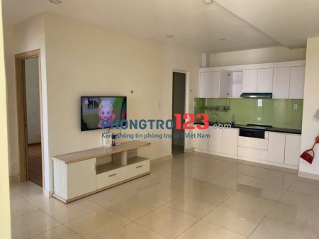 CHO THUÊ CĂN GÓC 95M2 CC PHÚ THẠNH 2PN GIÁ TỐT