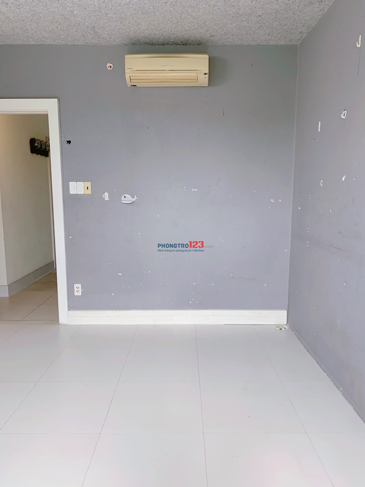 pass tròng trong nhà nguyên căn