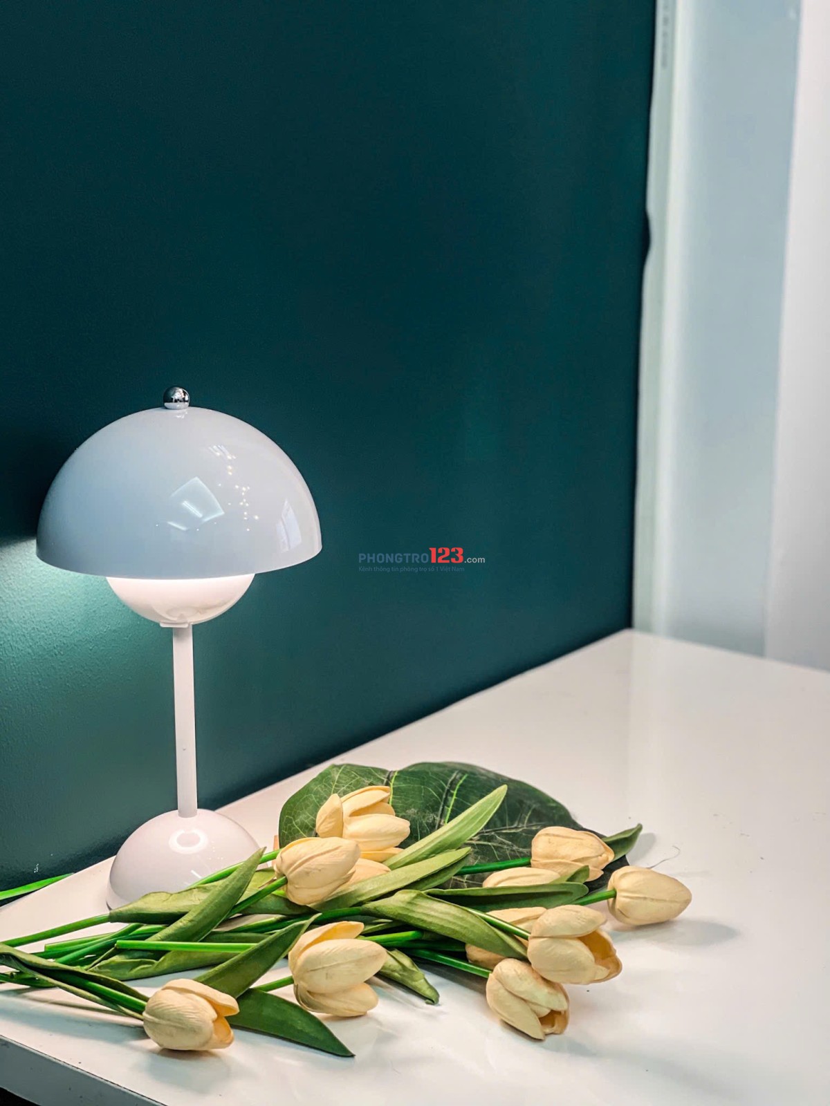 Cho Thuê Duplex Full Nội Thất, Gác Cao, Rộng Thoáng, Cửa Sổ Lớn & 2 Không Gian Ngủ