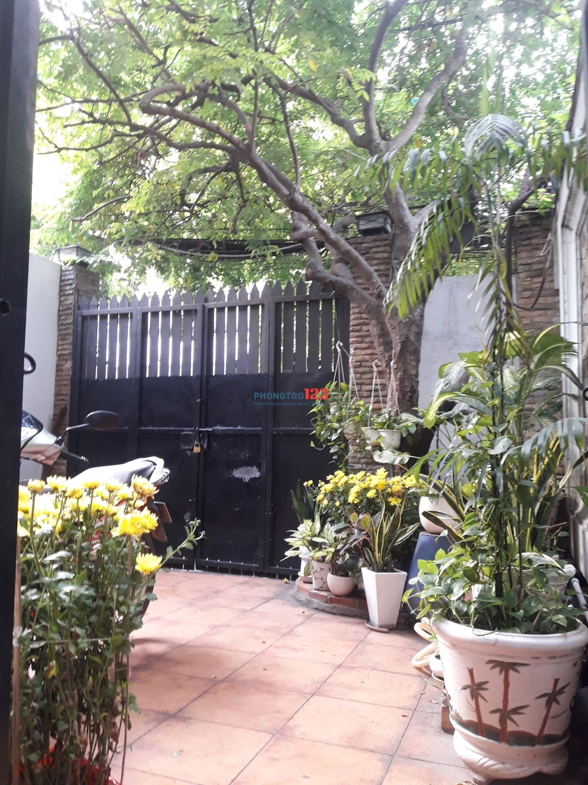 Phòng 24m2, trung tâm quận 10. giá rẻ.