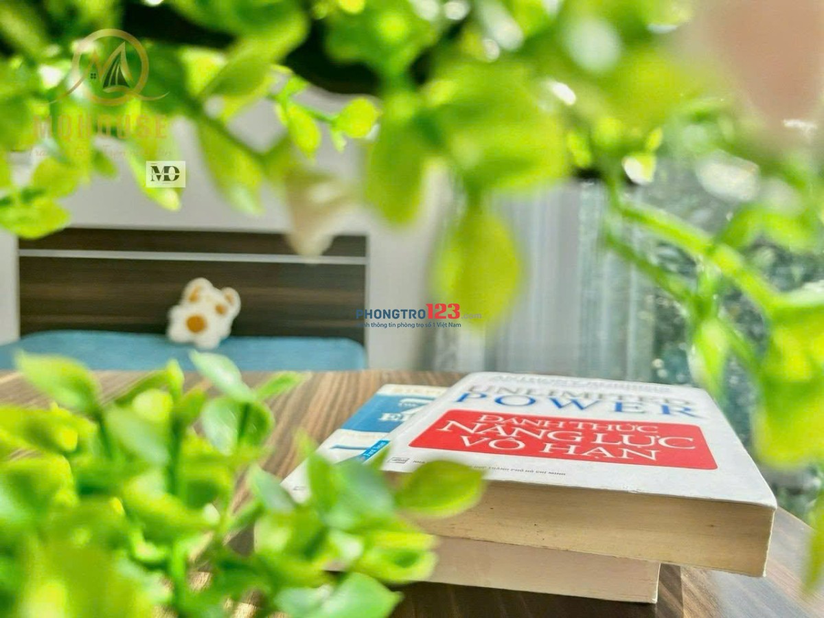 CHDV Full NT view dẹp thoáng mát Cửa sổ rộng Thạch Thị THanh Q1 7tr/th