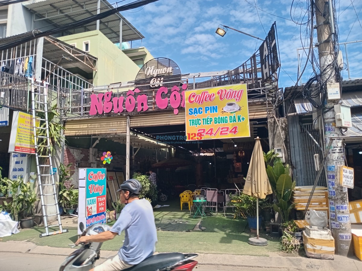 Cần cho thuê quán coffee Nguồn Cội tại phường Bình Hưng Hòa B, Quận Bình Tân