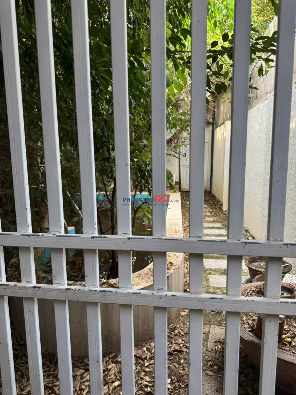 Nhà riêng cho thuê tại Đường Tuyên Quang,