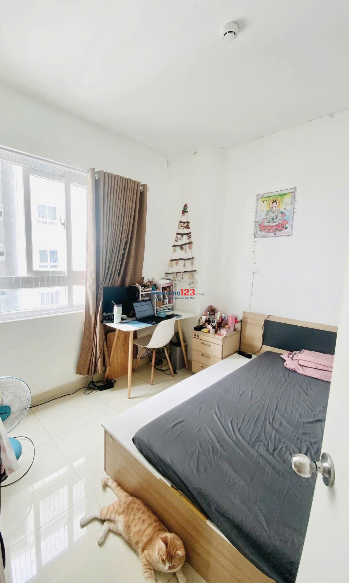 C/c Thái AN 3, Đông Hưng Thuận,Q12, 87m2, 3PN, 2WC, Nội thất, 8tr5/th.