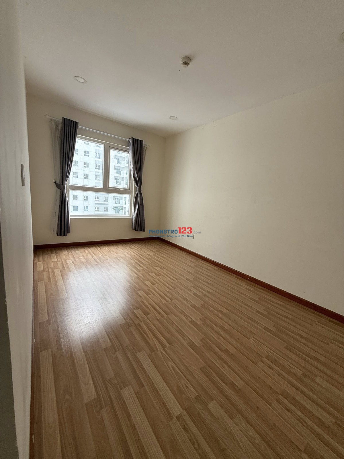 Cho thuê căn hộ Diamond Riverside diện tích 74m, 2pn, 2wc giá 8tr