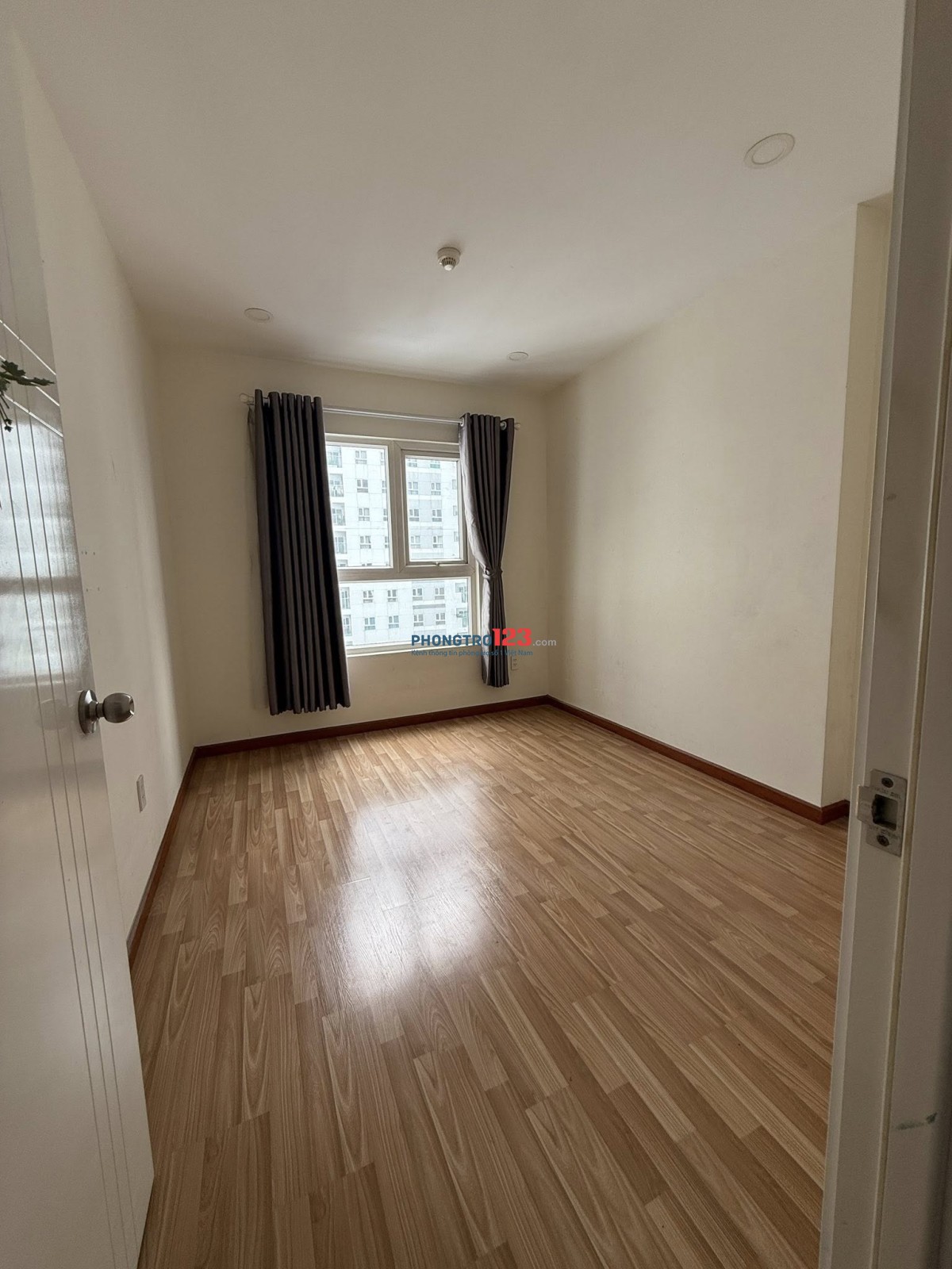 Cho thuê căn hộ Diamond Riverside diện tích 74m, 2pn, 2wc giá 8tr