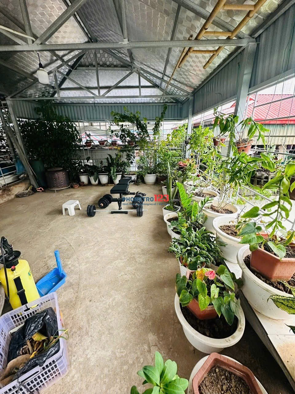 Cho hộ gia đình thuê hoặc làm văn phòng công ty