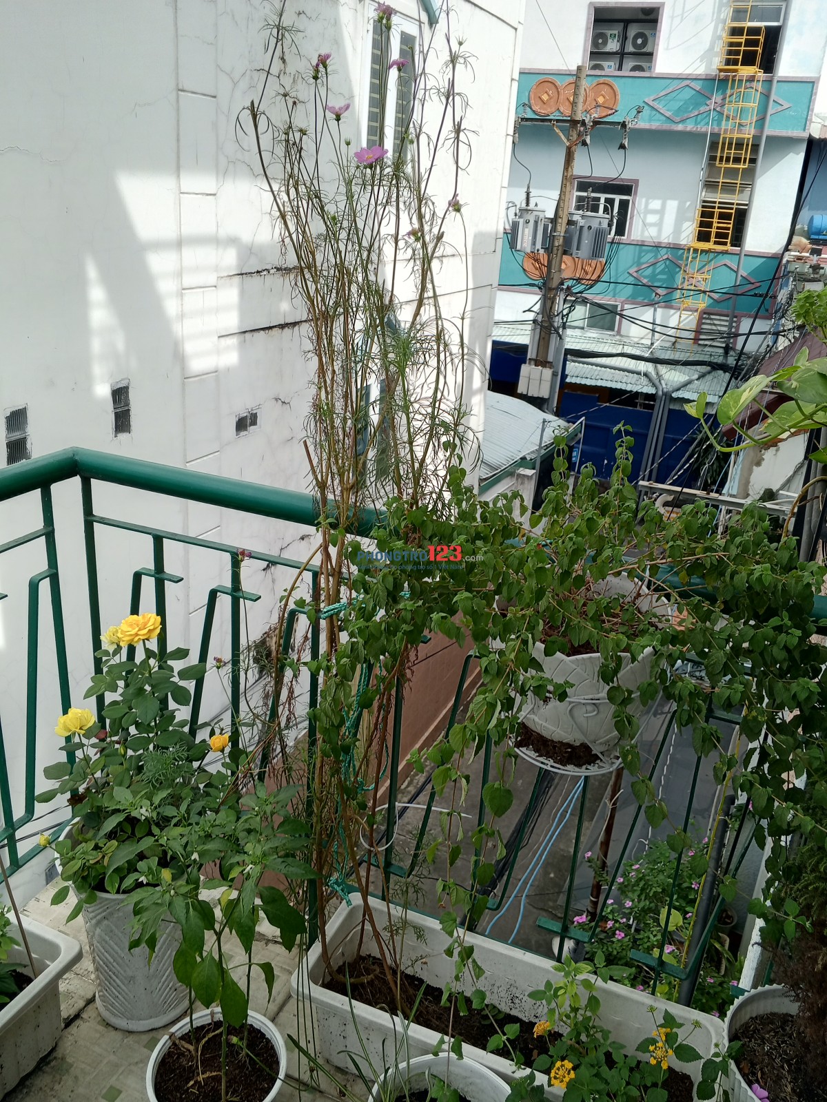 Cho thuê phòng rộng 40m2, bacon trồng cây, thoáng.