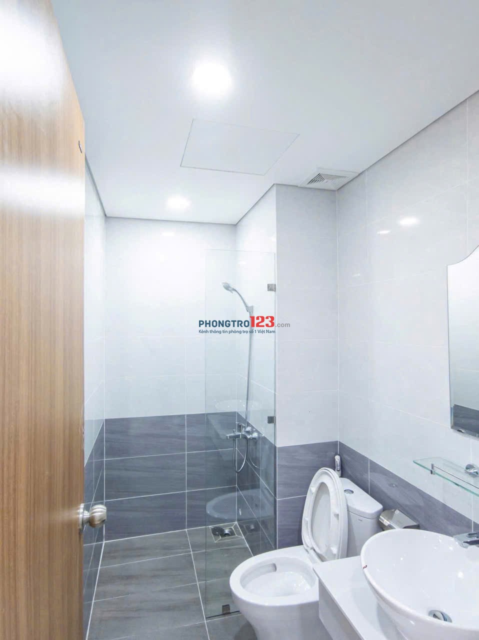 Chung cư Go Thoại Ngọc Hầu, TP: nhà sạch mới, ban công, 115m2, 11triệu