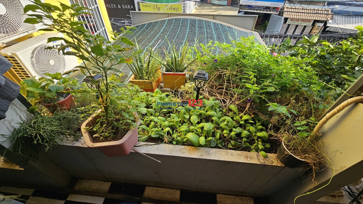 Căn hộ 2PN balcony full nội thất gần Thảo Cầm Viên, Chợ Thị Nghè, Bason, Ngã Tư Hàng Xanh, USSH