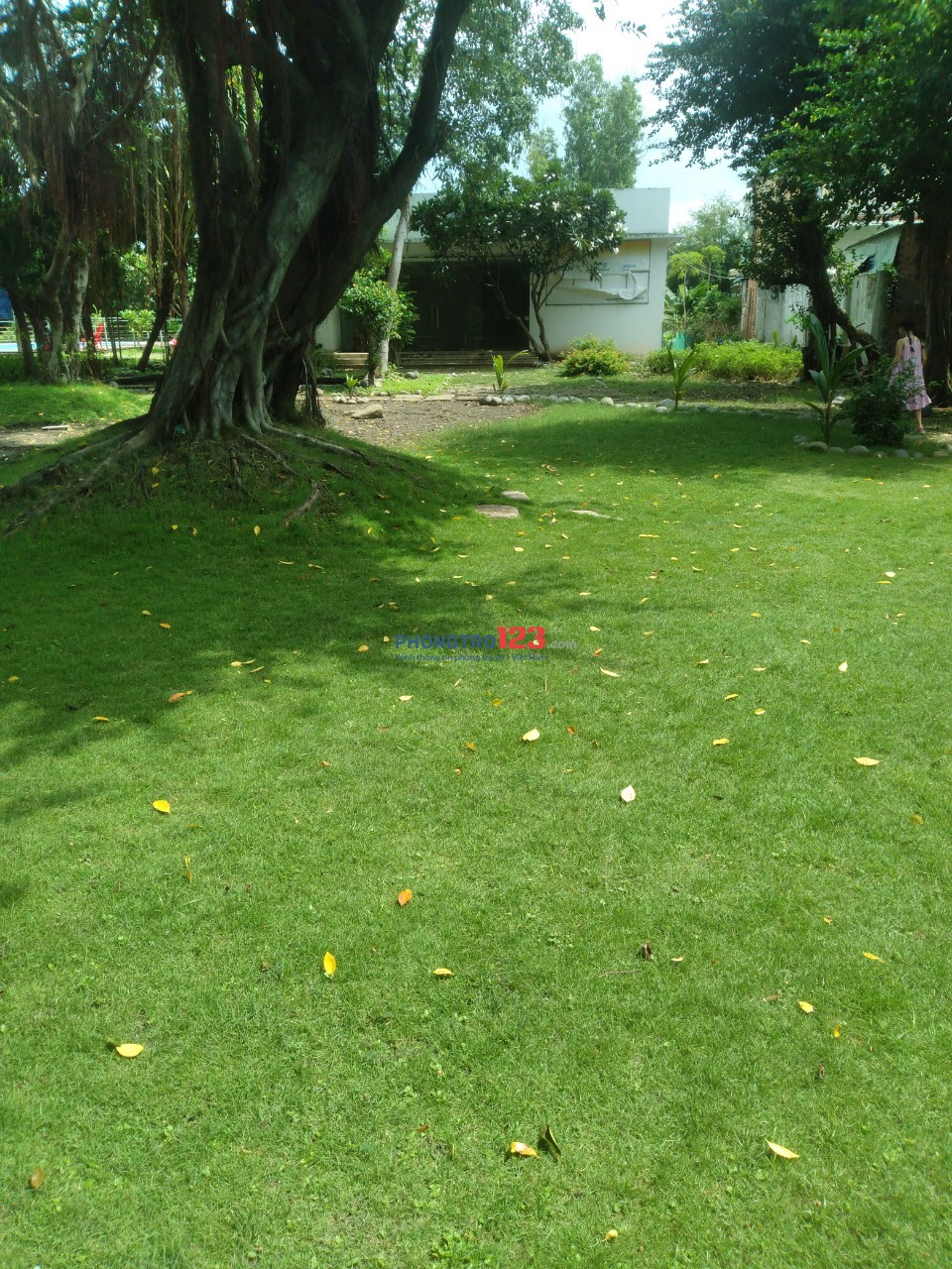 Cho thuê Phòng gần DHCN /Chợ Gò Vấp