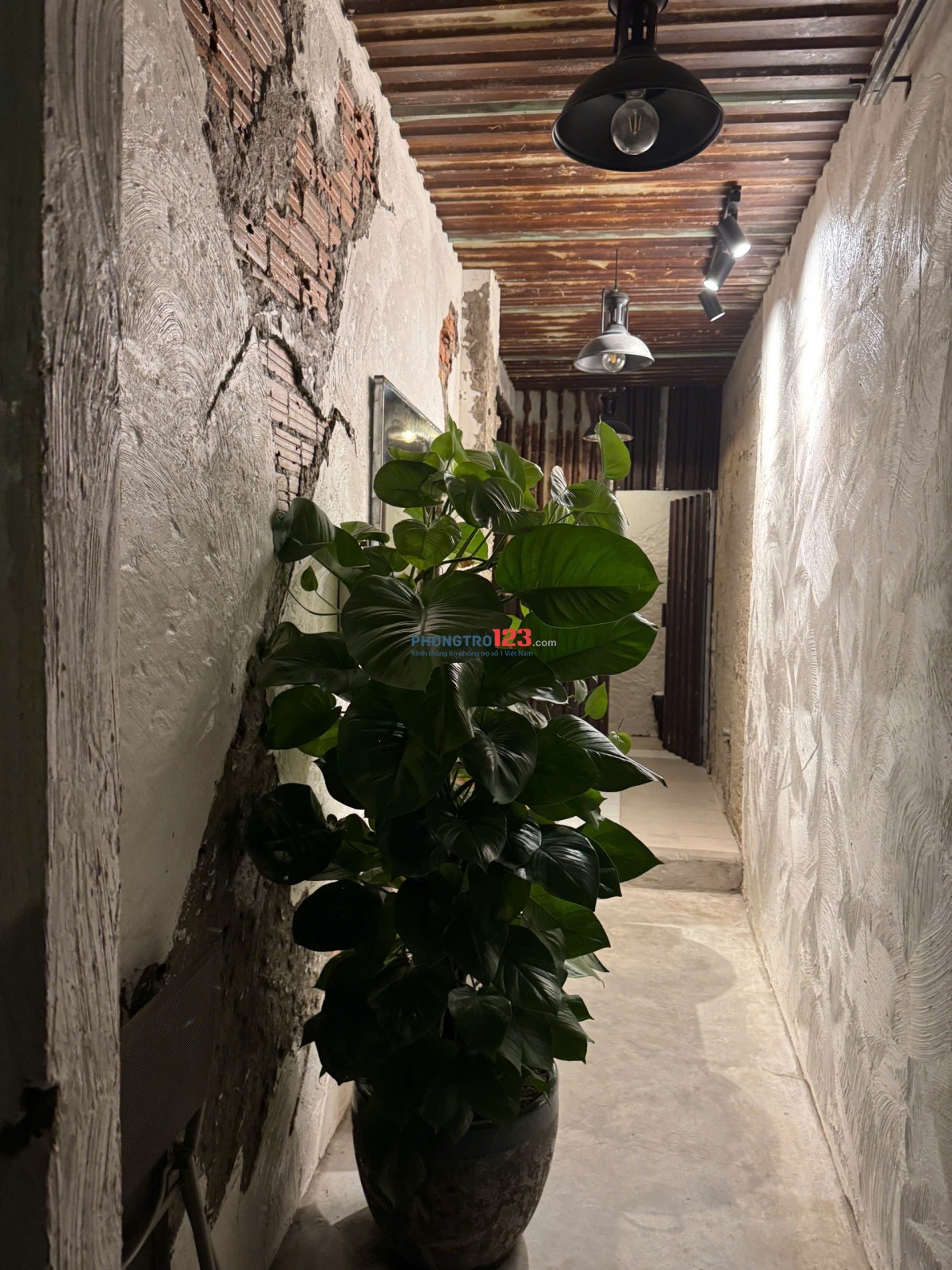 CHO THUÊ VĂN PHÒNG TẦNG 2 ĐẲNG CẤP HOÀNG DIỆU, QUẬN 4 - 131M² TRÀN NGẬP ÁNH SÁNG & CÂY XANH