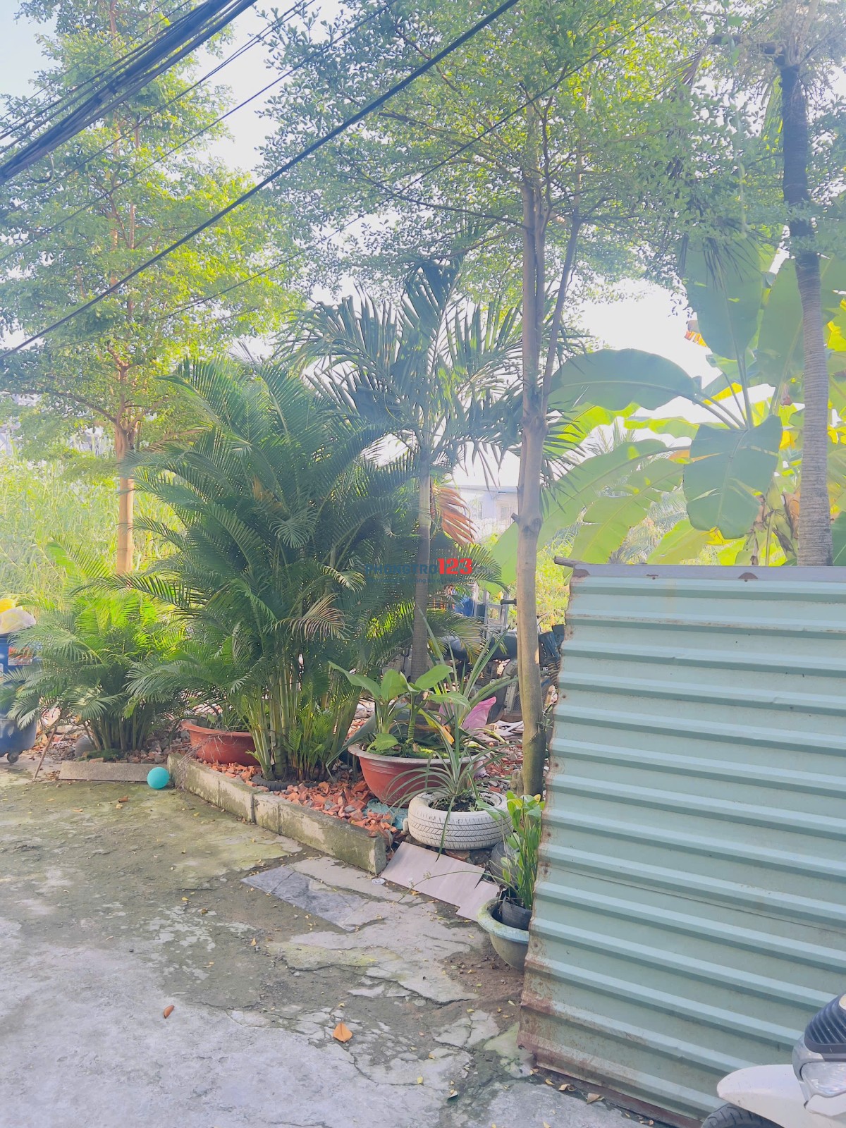 PHÒNG TRỌ RIÊNG BIỆT 25M2 MẶT TIỀN HẺM THOÁNG MÁT