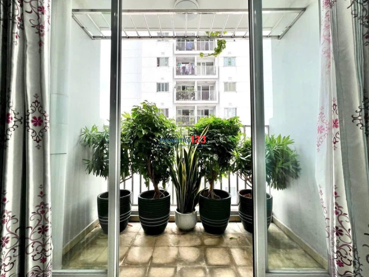 Căn hộ 3p ngủ, 2wc có NT ở C/c Phúc Yên, Tân Bình giá 11tr