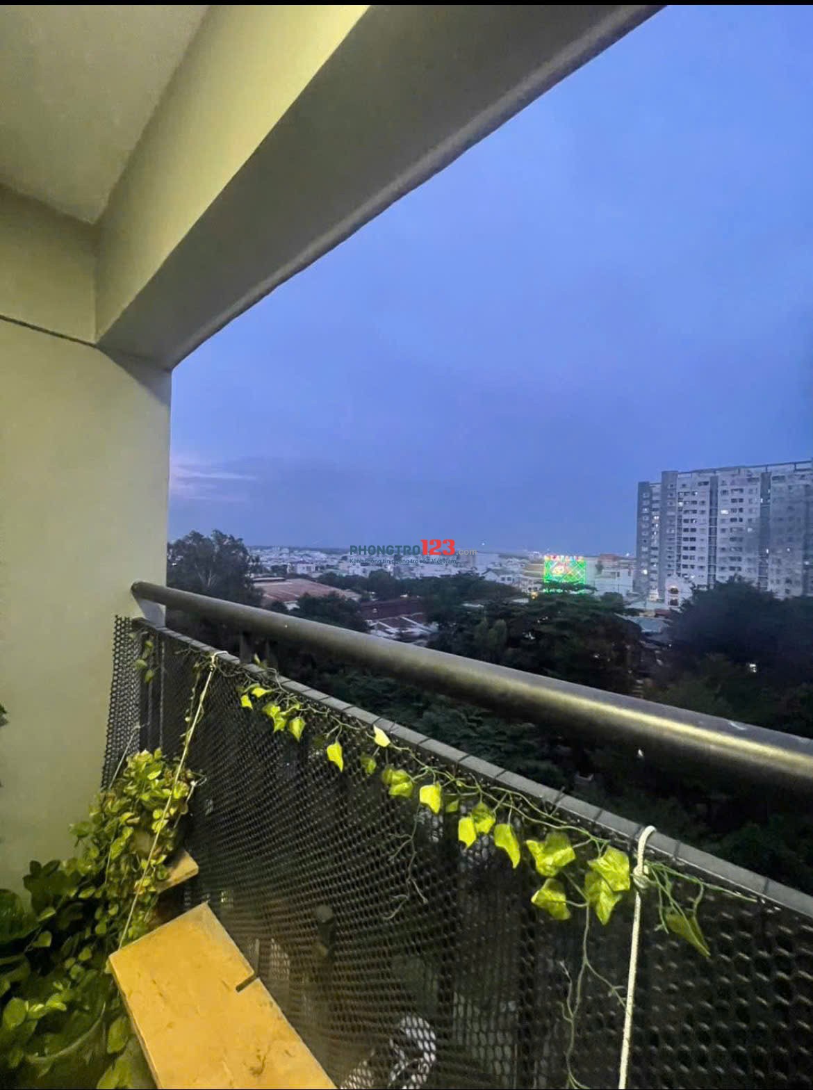 Căn Hộ Thái An, Nguyễn Văn Quá, Q12, 55m2, 1PN, Nội thất, 6tr/th.