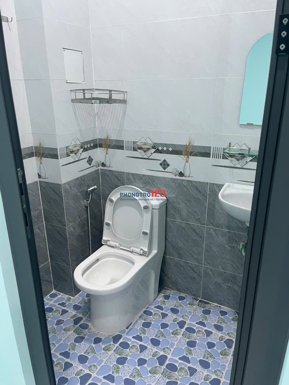 Cho Thuê Nhà Nguyên Căn tại 63/3C Tân Hóa