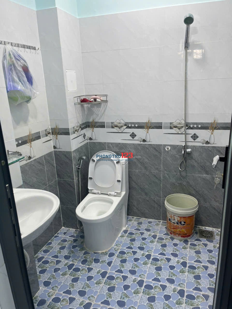 Cho Thuê Nhà Nguyên Căn tại 63/3C Tân Hóa