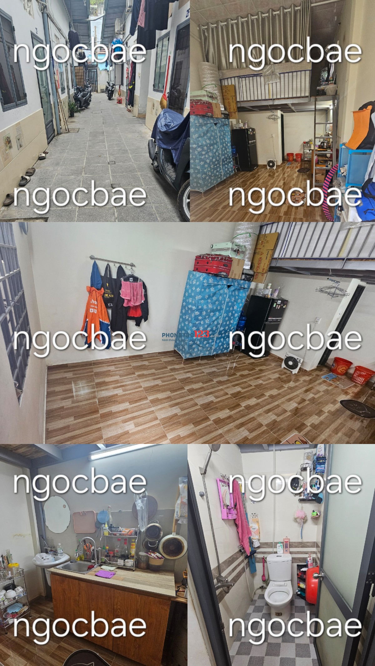 SHARE PHÒNG - TÌM 1-2 BẠN NỮ HOẶC LGBT NỮ