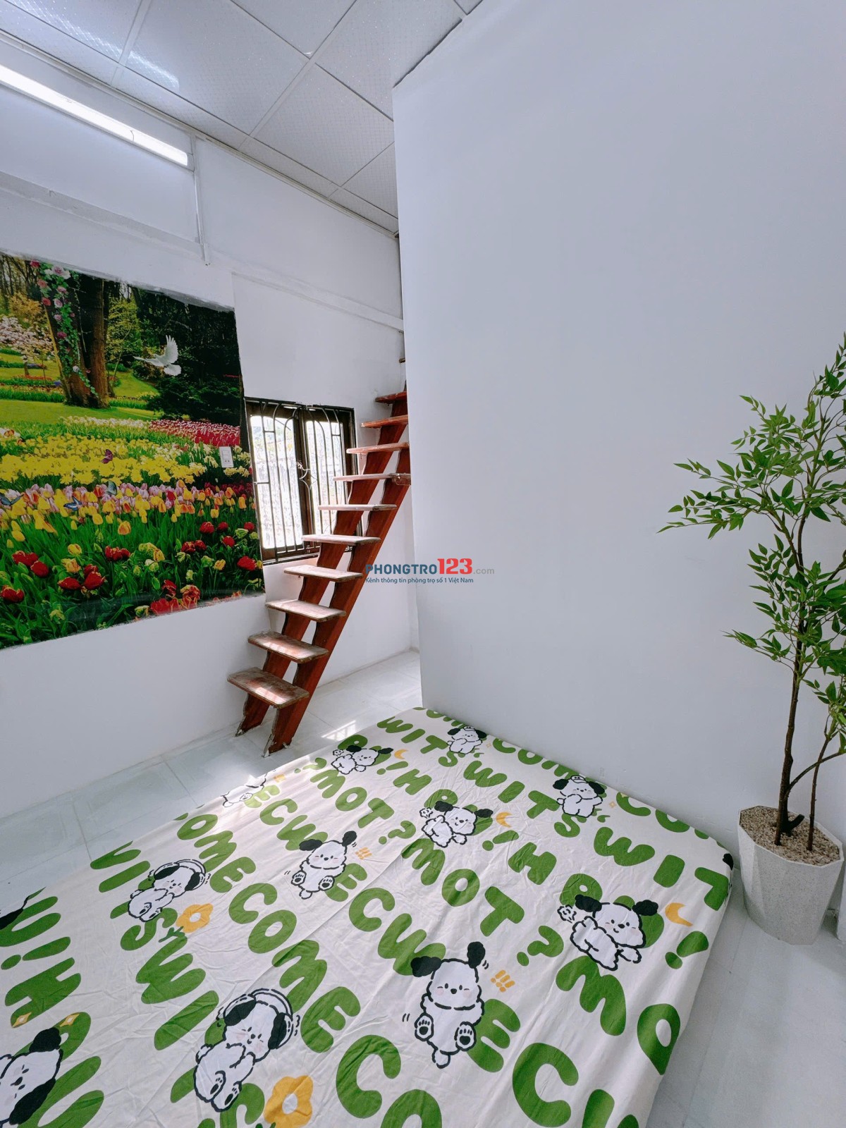 PHÒNG GIÁ RẺ – đường số tan quy quan 7 gần Lotte Mart 500m , trường đại học tôn Đức Thắng 800m