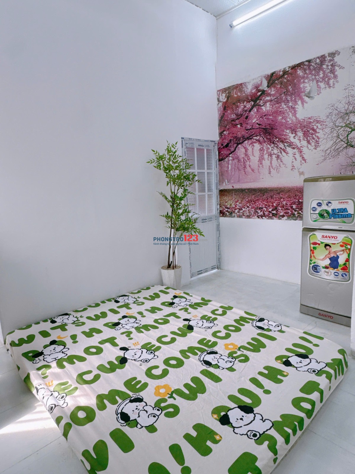 PHÒNG GIÁ RẺ – đường số tan quy quan 7 gần Lotte Mart 500m , trường đại học tôn Đức Thắng 800m