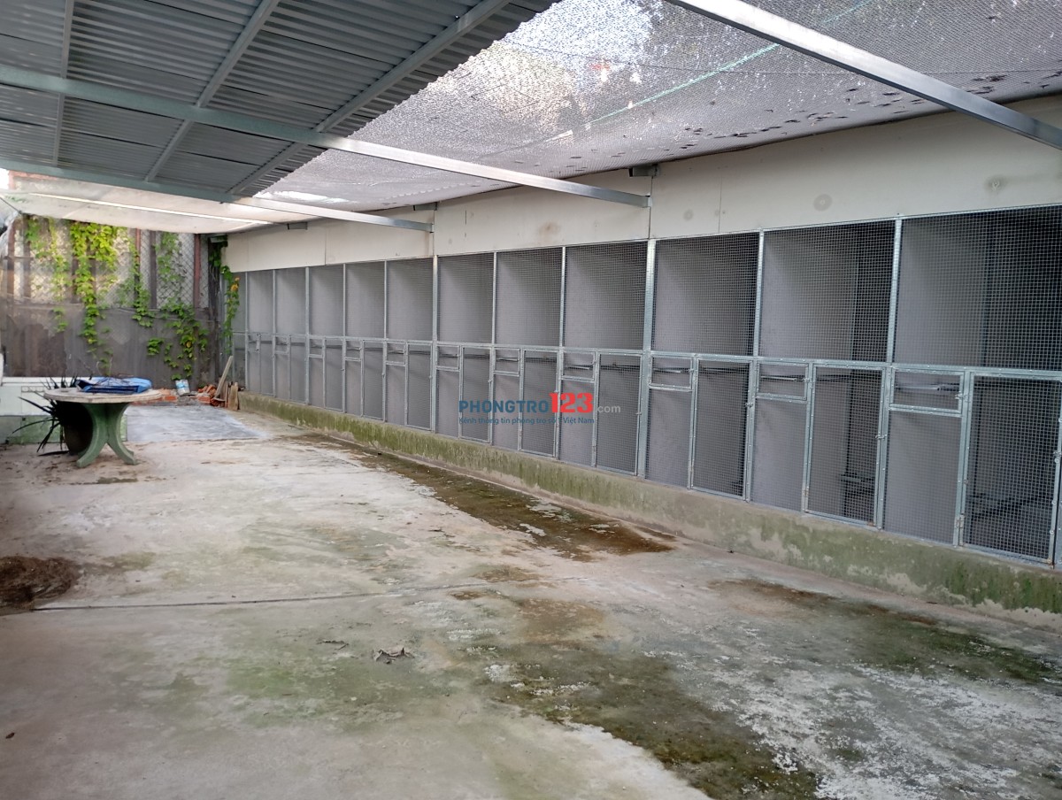 NHÀ NGUYÊN CĂN (7tr5 đến 13tr) - HẺM RỘNG 6M - LÊ ĐỨC THỌ, GÒ VẤP!