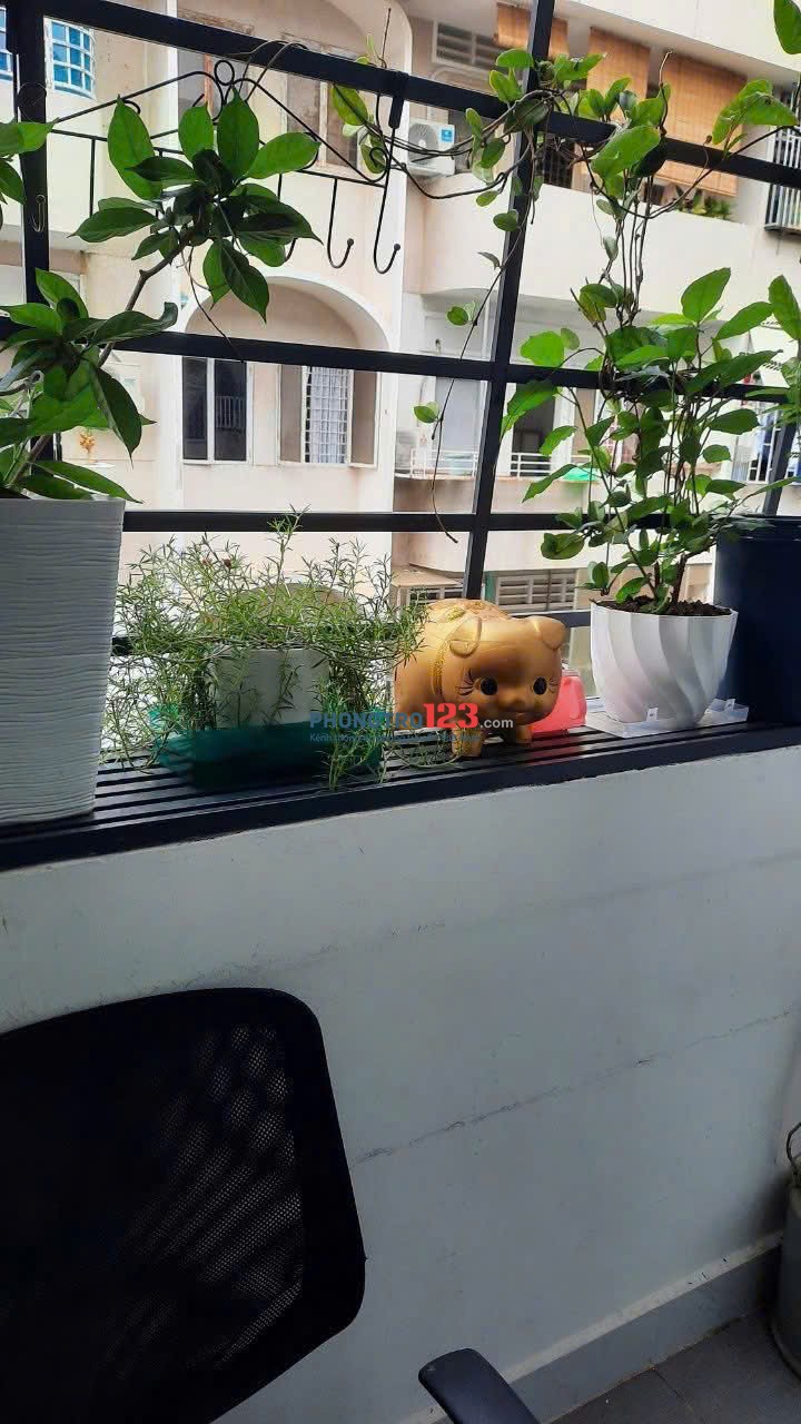 Căn hộ Nam Kỳ Khởi Nghĩa, 97m2, 2 Phòng ngủ, 1 Tolet, 11tr/th. Thang Bộ.