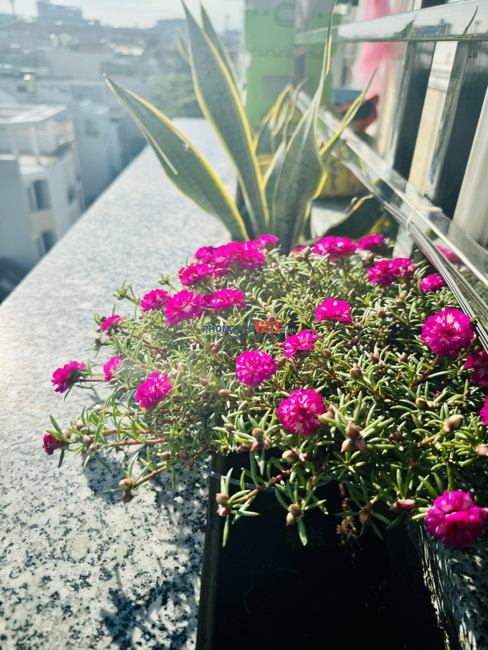 Xô Viết Nghệ Tĩnh đại học Hutech, GTVT, ngoại thương ban công thang máy