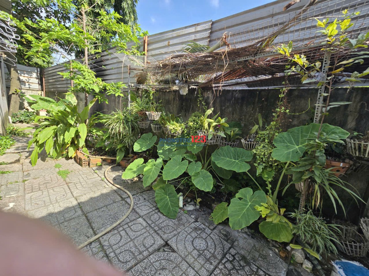 Cần cho thuê nhà cấp 4 có sân đậu xe hơi và sân vườn rộng rãi