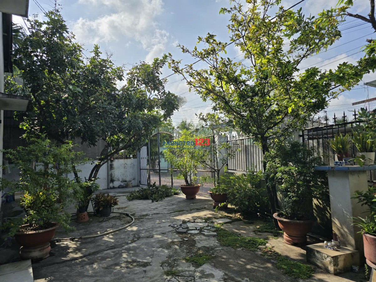 Cần cho thuê nhà cấp 4 có sân đậu xe hơi và sân vườn rộng rãi