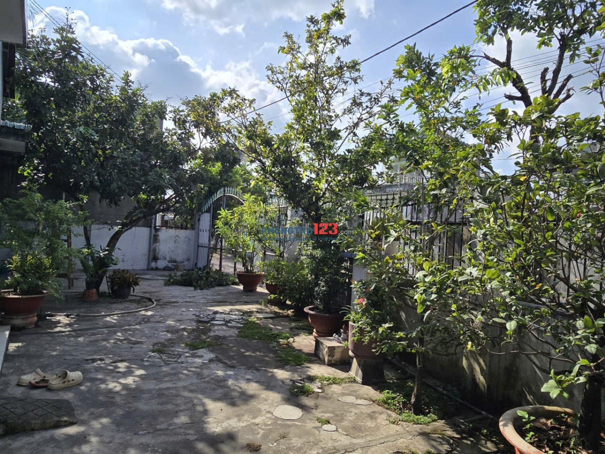 Cần cho thuê nhà cấp 4 có sân đậu xe hơi và sân vườn rộng rãi