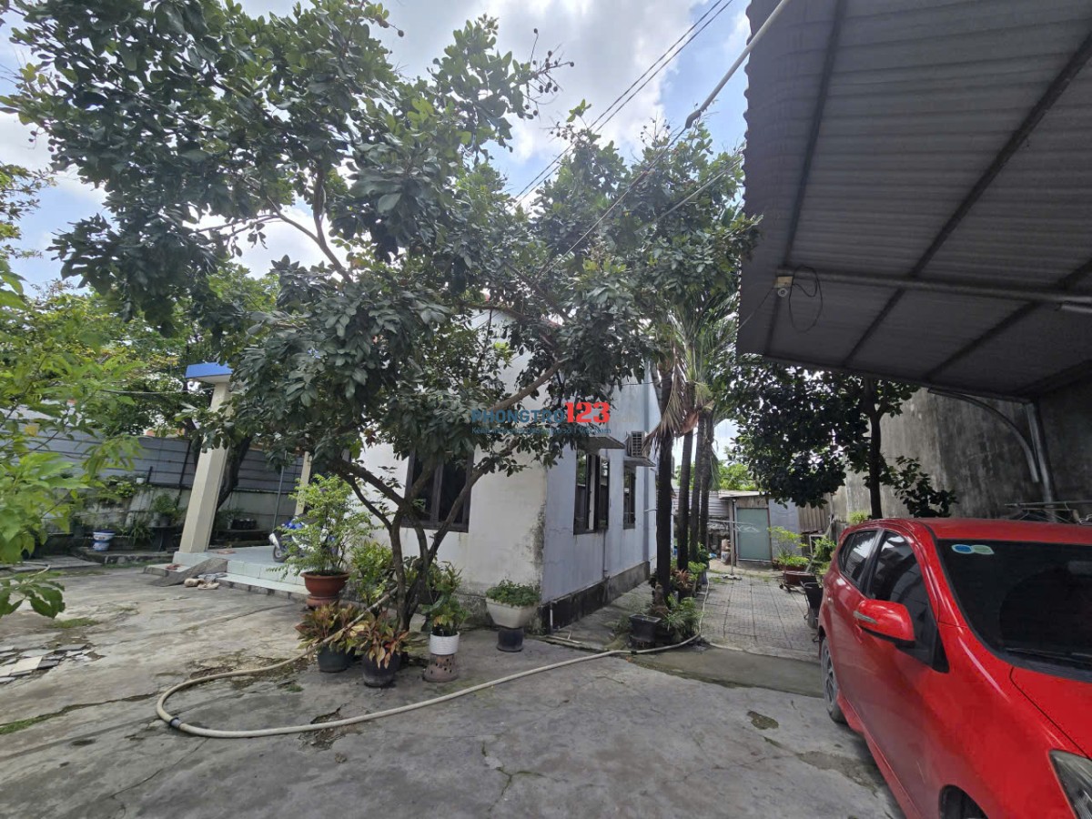 Cần cho thuê nhà cấp 4 có sân đậu xe hơi và sân vườn rộng rãi