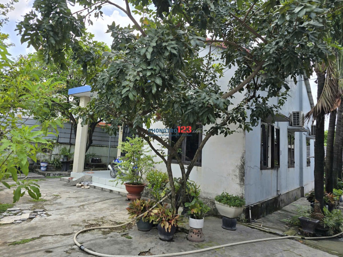 Cần cho thuê nhà cấp 4 có sân đậu xe hơi và sân vườn rộng rãi