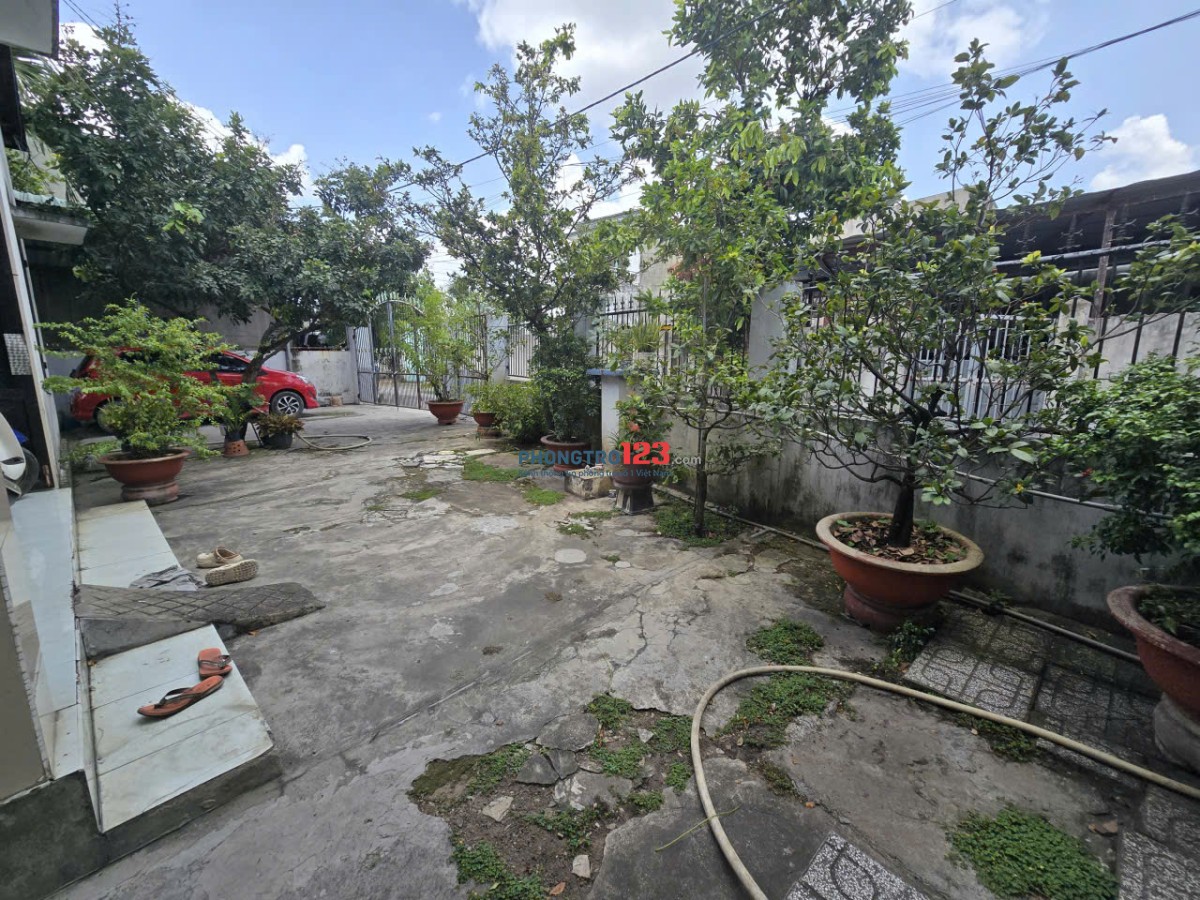 Cần cho thuê nhà cấp 4 có sân đậu xe hơi và sân vườn rộng rãi