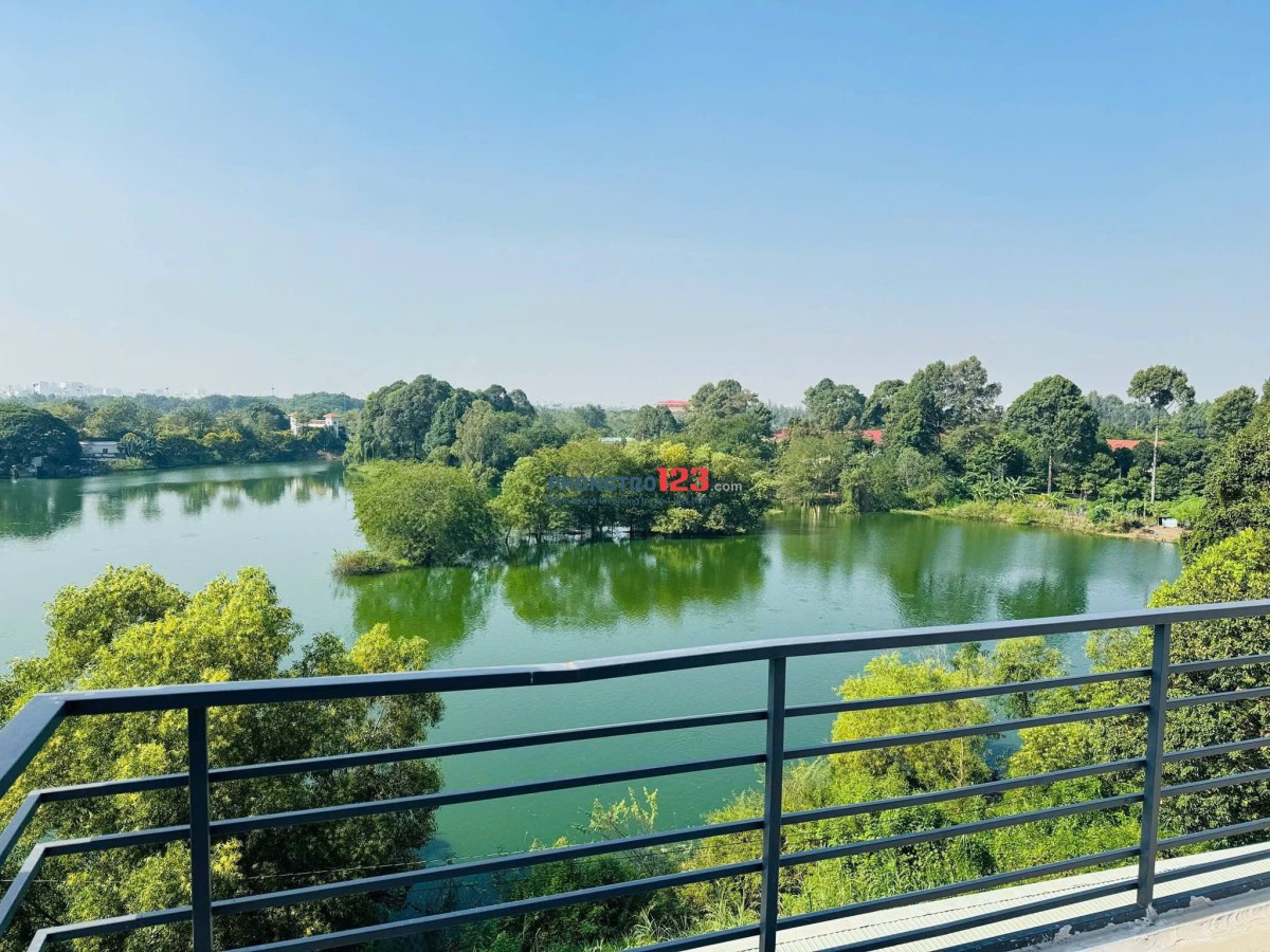 KHAI TRƯƠNG 7 PHÒNG BAN CÔNG TẠI GÒ VẤP