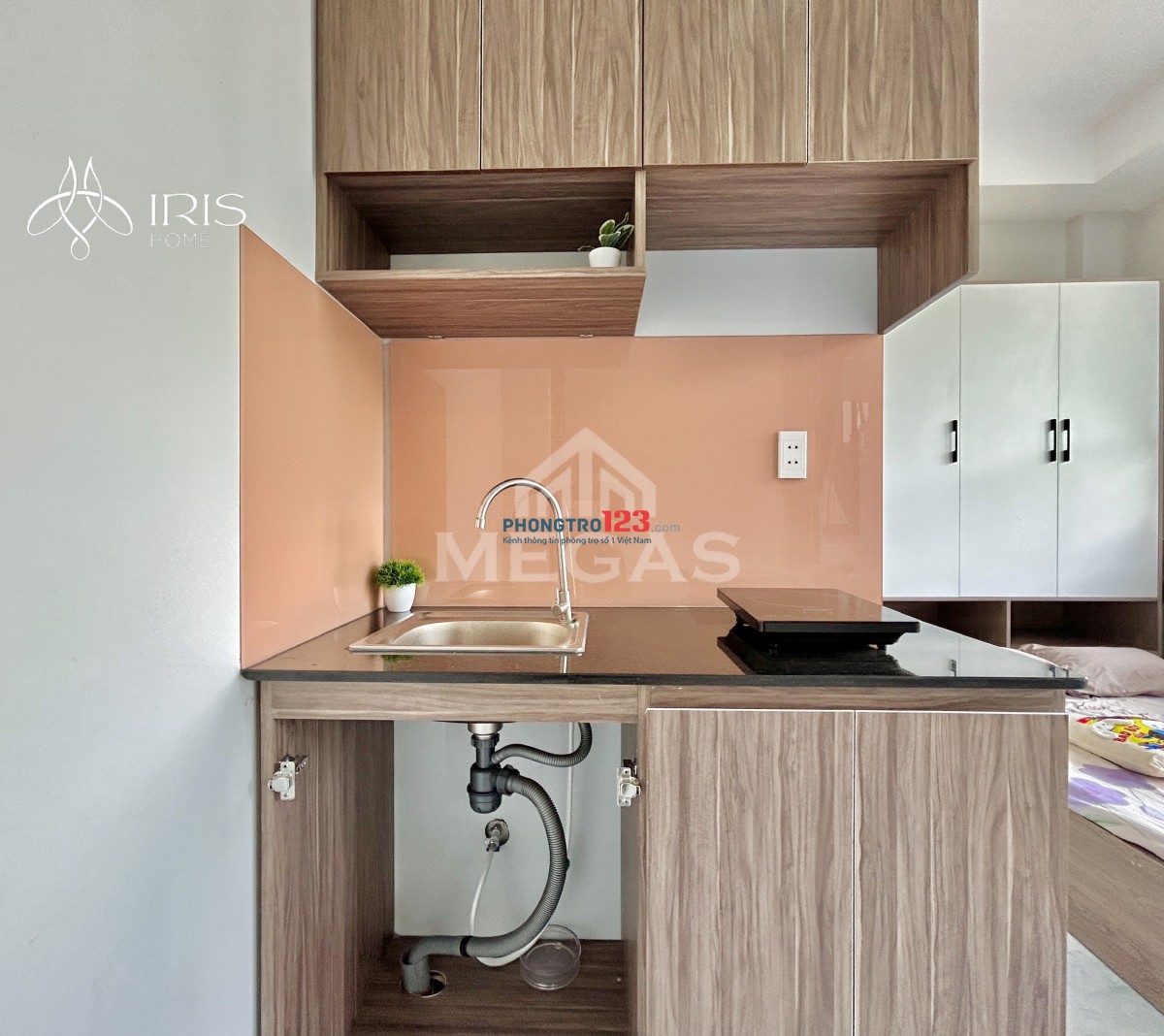 KHAI TRƯƠNG PHÒNG CAP CẤP - GIÁ ƯU ĐÃI ( ĐẢO KIM CƯƠNG)