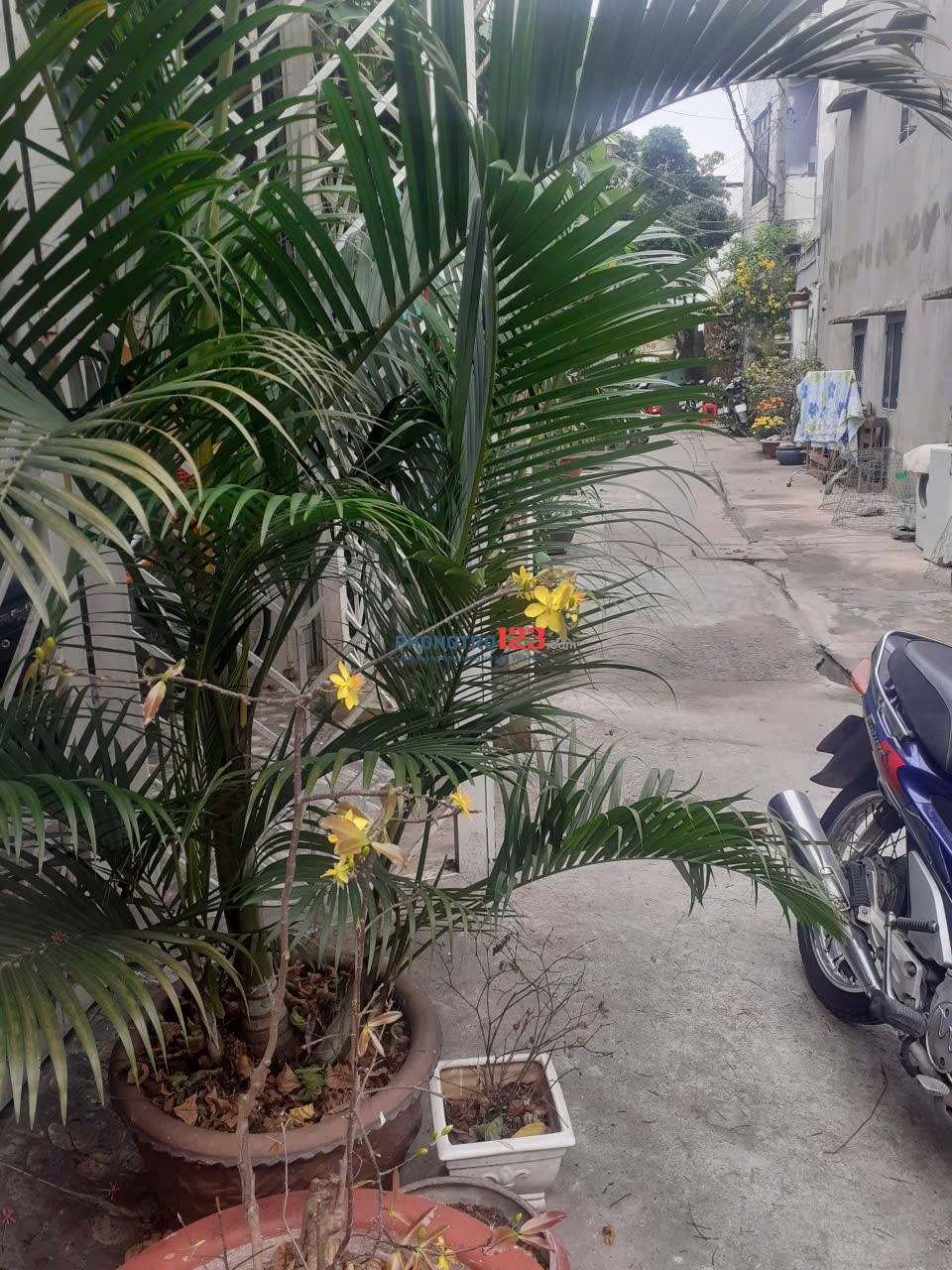 Cho Thuê phòng trọ (Ngày hoặc tháng)