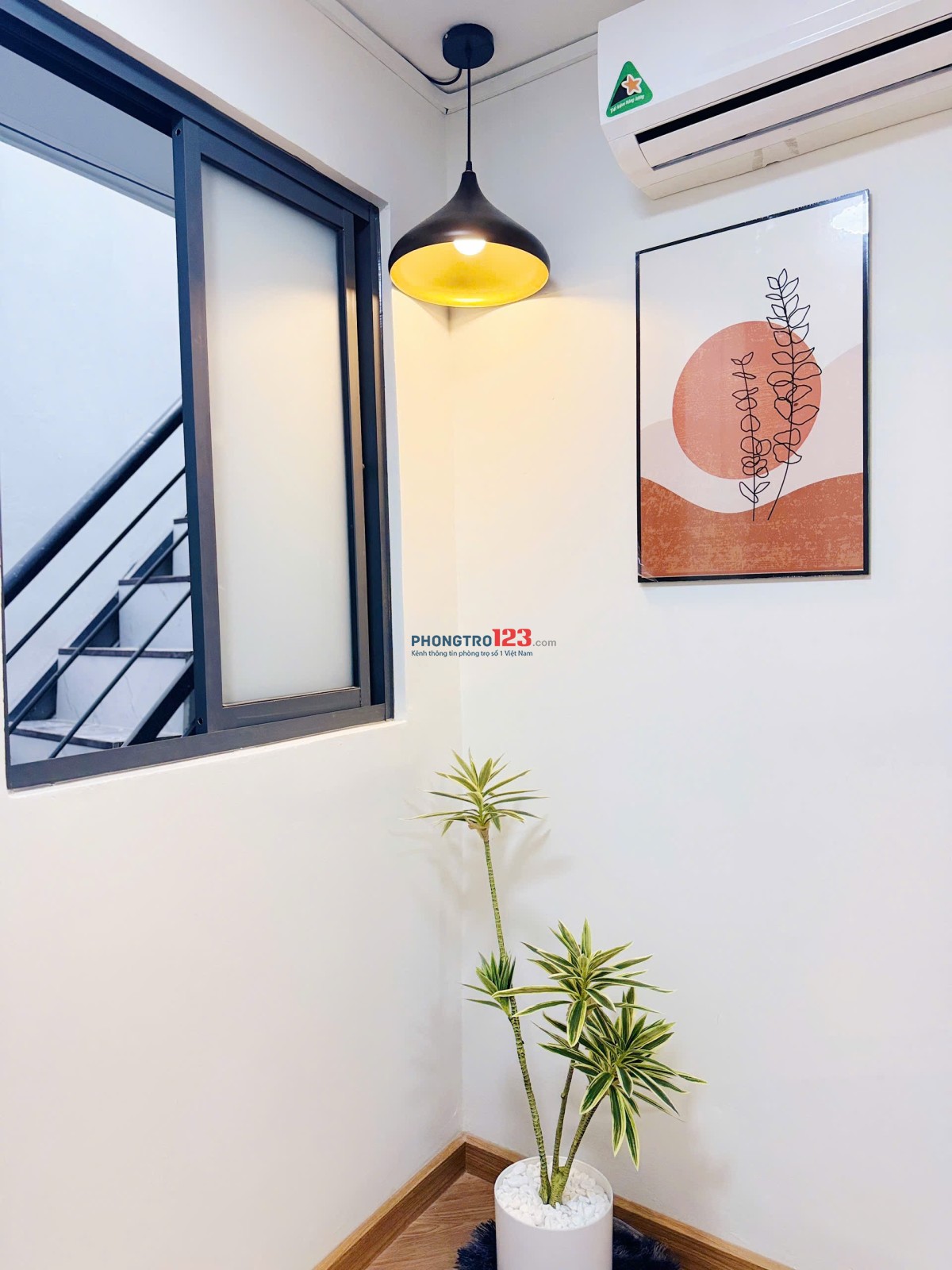 Cho thuê phòng trọ cửa sổ mới ở ngay Âu cơ Ngã tư Lạc Long Quân