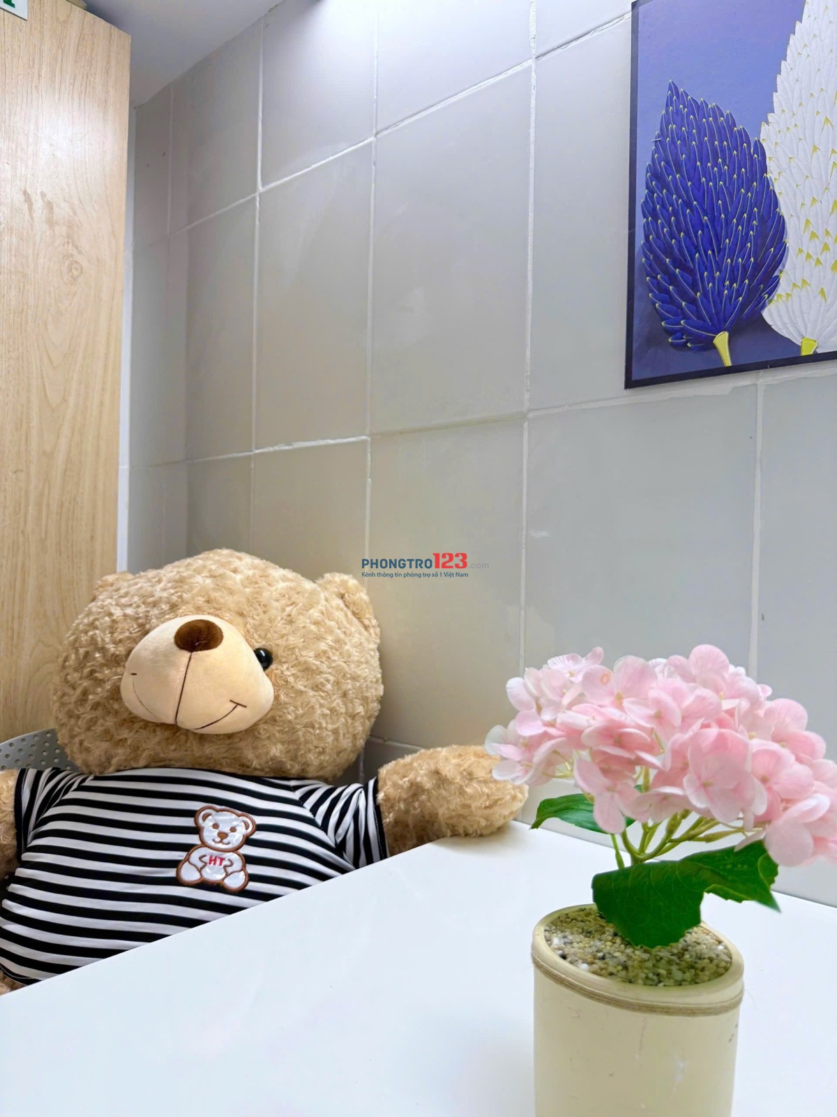  CHO THUÊ PHÒNG TRỌ - TRƯỜNG CHINH, P14, TÂN BÌNH - NGAY ETOWN CỘNG HOÀ 