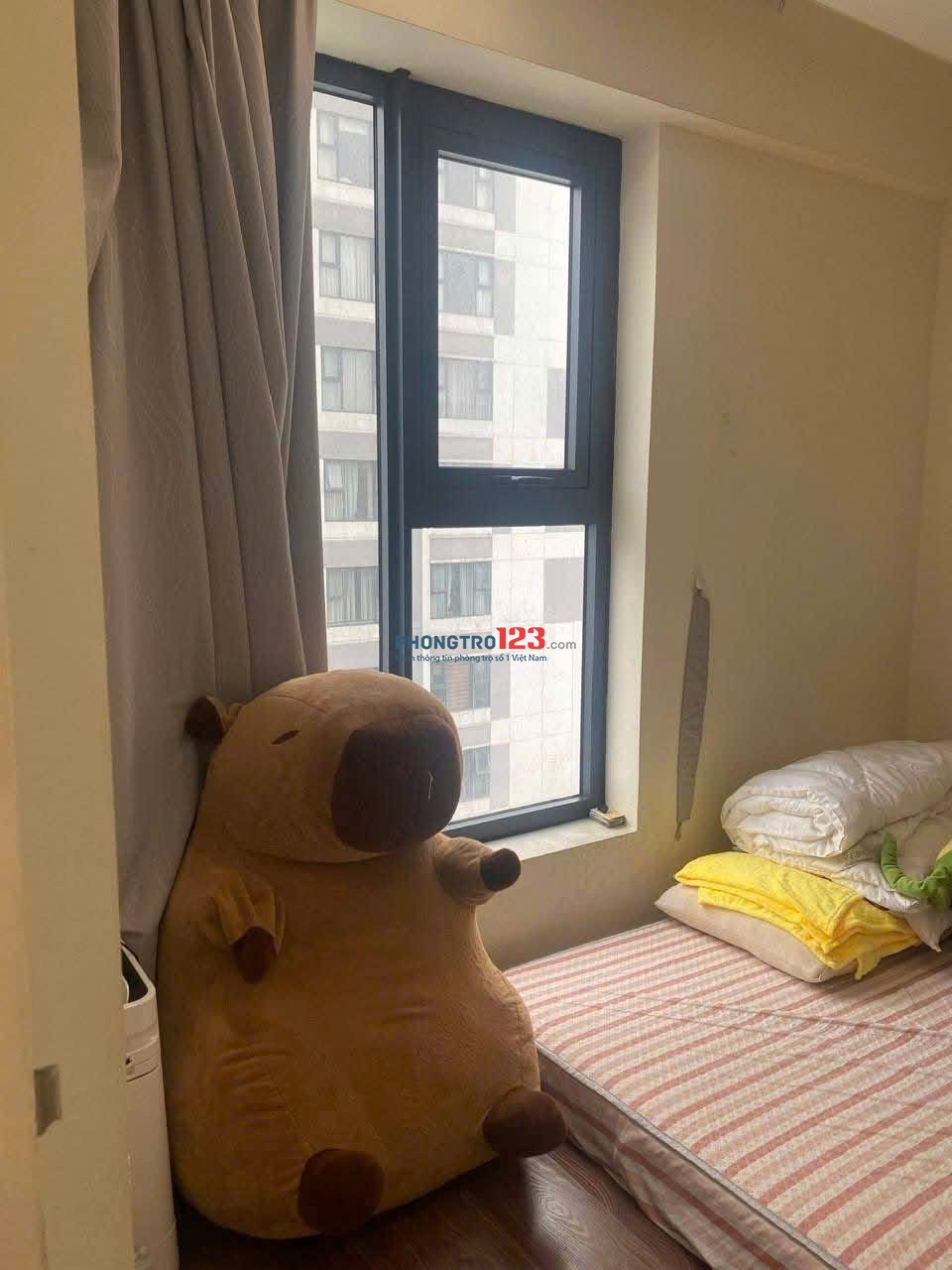 Chung cư Ruby Garden, Nguyễn Sỹ Sách, P15, TB, 57m2, 1PN, 2WC, 7tr5/th.