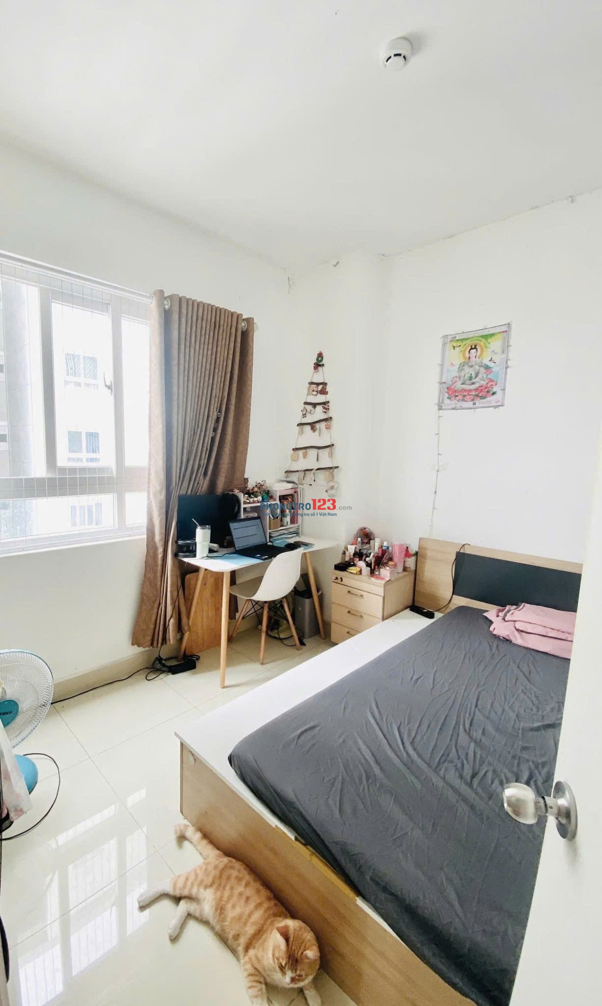 Giá 9tr5/th, C/c Carillon 2, Trịnh Đình Thảo, TP: 2p ngủ, 2WC, 75m2.