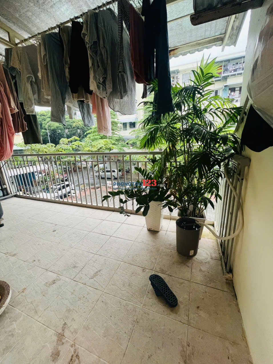 Cần tuyển người ở ghép kế bên Lotte cộng hòa